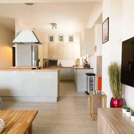 Vas' Penthouse Apartament *