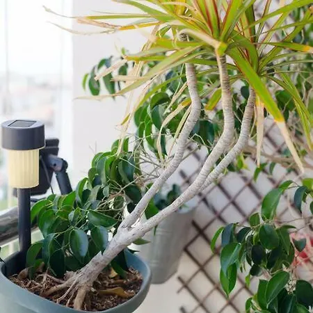 Vas' Penthouse Nicosia