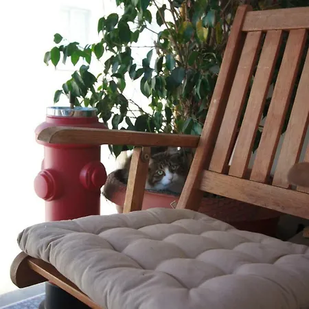 Vas' Penthouse דירה *