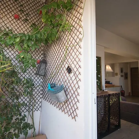 Vas' Penthouse דירה