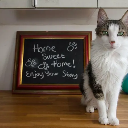 Διαμέρισμα Vas' Penthouse