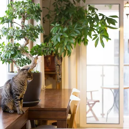 דירה Vas' Penthouse *