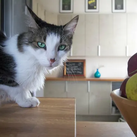 Διαμέρισμα Vas' Penthouse Λευκωσία