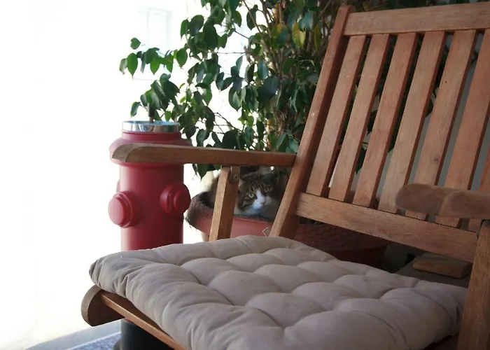 Vas' Penthouse Apartmán *