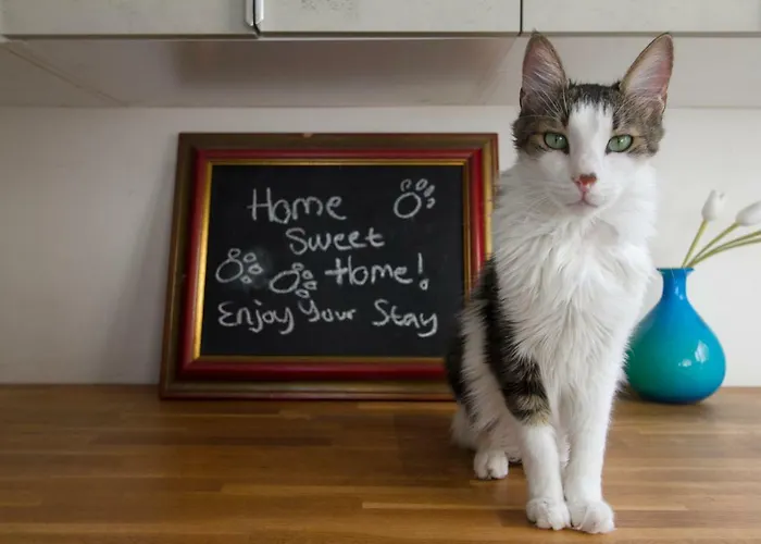 Διαμέρισμα Vas' Penthouse