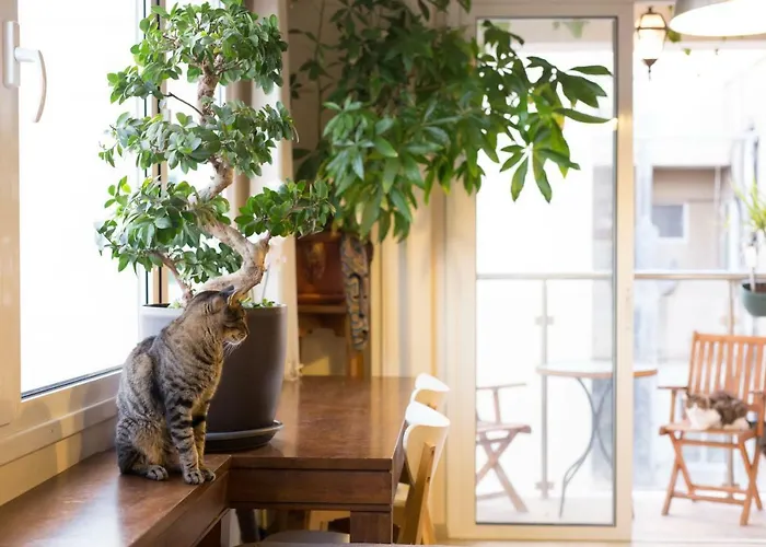 Διαμέρισμα Vas' Penthouse *