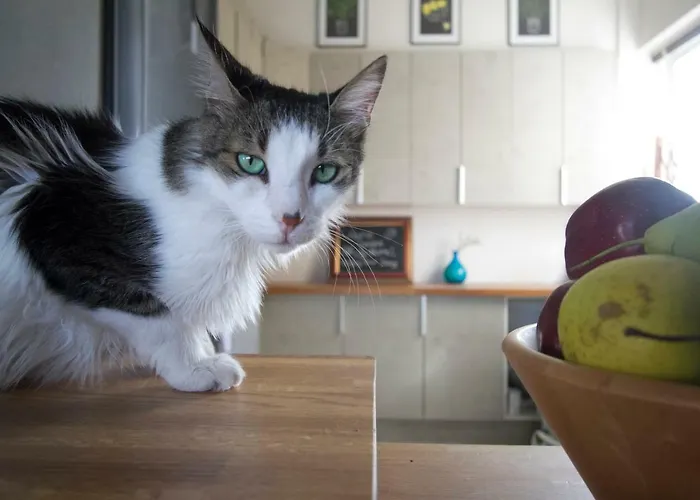 Apartmán Vas' Penthouse Nikósie