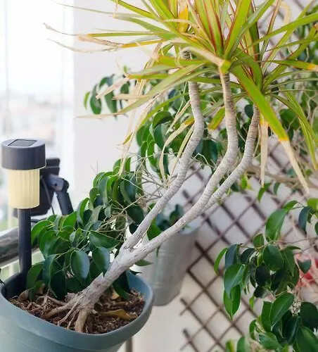 Vas' Penthouse Nikósie